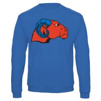 Sweat-shirt de qualité, 50% coton 50% polyster, de marque B&C Collection Vignette