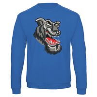 Sweat-shirt de qualité, 50% coton 50% polyster, de marque B&C Collection Vignette