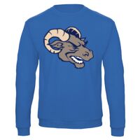 Sweat-shirt de qualité, 50% coton 50% polyster, de marque B&C Collection Vignette