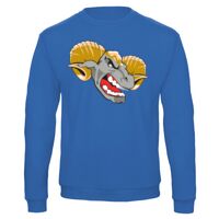 Sweat-shirt de qualité, 50% coton 50% polyster, de marque B&C Collection Vignette