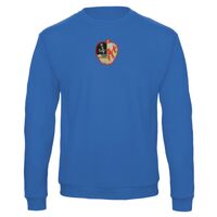 Sweat-shirt de qualité, 50% coton 50% polyster, de marque B&C Collection Vignette