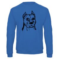 Sweat-shirt de qualité, 50% coton 50% polyster, de marque B&C Collection Vignette