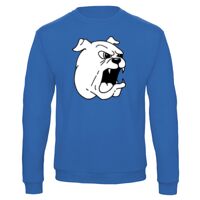 Sweat-shirt de qualité, 50% coton 50% polyster, de marque B&C Collection Vignette