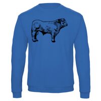 Sweat-shirt de qualité, 50% coton 50% polyster, de marque B&C Collection Vignette