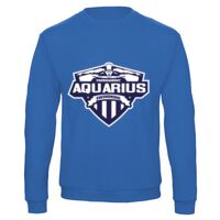 Sweat-shirt de qualité, 50% coton 50% polyster, de marque B&C Collection Vignette