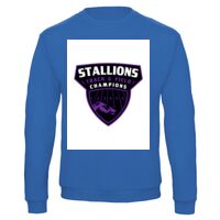 Sweat-shirt de qualité, 50% coton 50% polyster, de marque B&C Collection Vignette