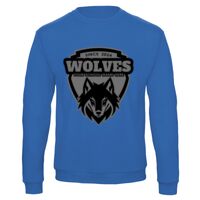 Sweat-shirt de qualité, 50% coton 50% polyster, de marque B&C Collection Vignette