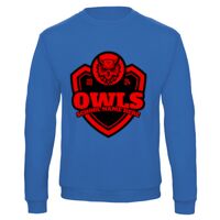 Sweat-shirt de qualité, 50% coton 50% polyster, de marque B&C Collection Vignette