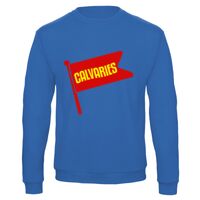 Sweat-shirt de qualité, 50% coton 50% polyster, de marque B&C Collection Vignette