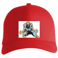 Flexfit Delta cap (180) Vignette