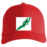 Flexfit Delta cap (180) Vignette