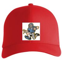 Flexfit Delta cap (180) Vignette