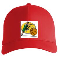 Flexfit Delta cap (180) Vignette