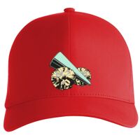 Flexfit Delta cap (180) Vignette