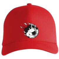 Flexfit Delta cap (180) Vignette