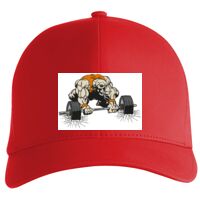 Flexfit Delta cap (180) Vignette