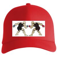 Flexfit Delta cap (180) Vignette