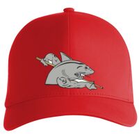 Flexfit Delta cap (180) Vignette