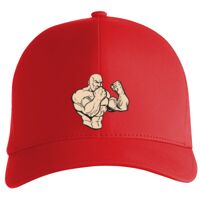 Flexfit Delta cap (180) Vignette