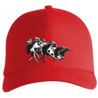 Flexfit Delta cap (180) Vignette