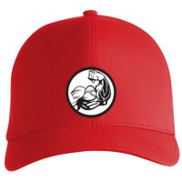Flexfit Delta cap (180) Vignette