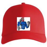 Flexfit Delta cap (180) Vignette