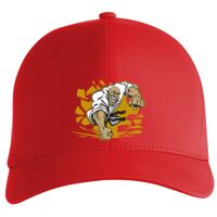 Flexfit Delta cap (180) Vignette