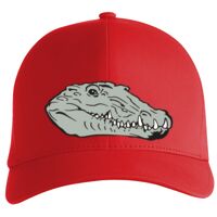 Flexfit Delta cap (180) Vignette