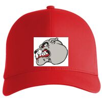 Flexfit Delta cap (180) Vignette