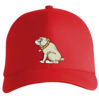 Flexfit Delta cap (180) Vignette