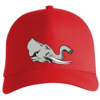 Flexfit Delta cap (180) Vignette