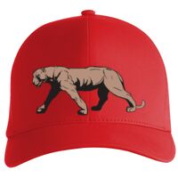 Flexfit Delta cap (180) Vignette