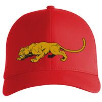 Flexfit Delta cap (180) Vignette