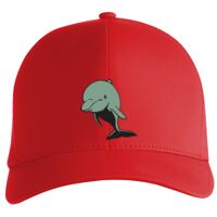 Flexfit Delta cap (180) Vignette