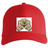 Flexfit Delta cap (180) Vignette