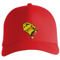Flexfit Delta cap (180) Vignette