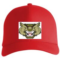 Flexfit Delta cap (180) Vignette