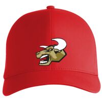 Flexfit Delta cap (180) Vignette