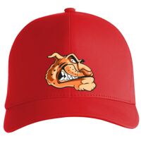 Flexfit Delta cap (180) Vignette