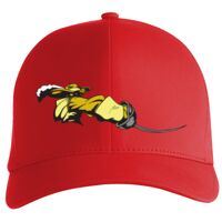 Flexfit Delta cap (180) Vignette