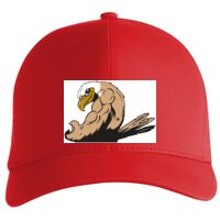 Flexfit Delta cap (180) Vignette