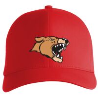 Flexfit Delta cap (180) Vignette