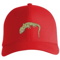 Flexfit Delta cap (180) Vignette