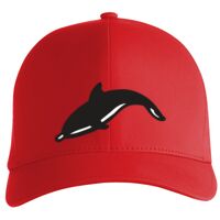 Flexfit Delta cap (180) Vignette