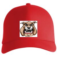 Flexfit Delta cap (180) Vignette