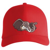 Flexfit Delta cap (180) Vignette