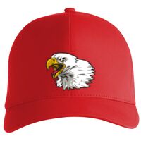 Flexfit Delta cap (180) Vignette