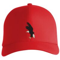 Flexfit Delta cap (180) Vignette