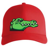 Flexfit Delta cap (180) Vignette