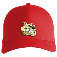 Flexfit Delta cap (180) Vignette